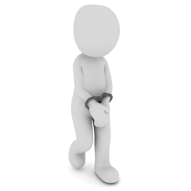 Unraveling Criminal Law Cases: From Procedures to Rights