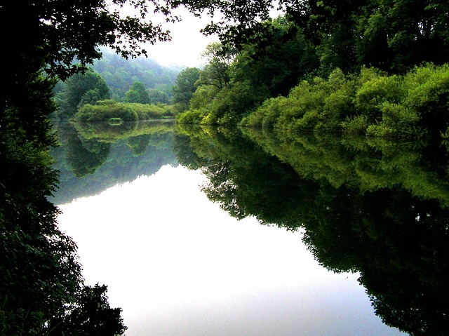Navigating Environmental Litigation: Violations, Types, & Success Stories