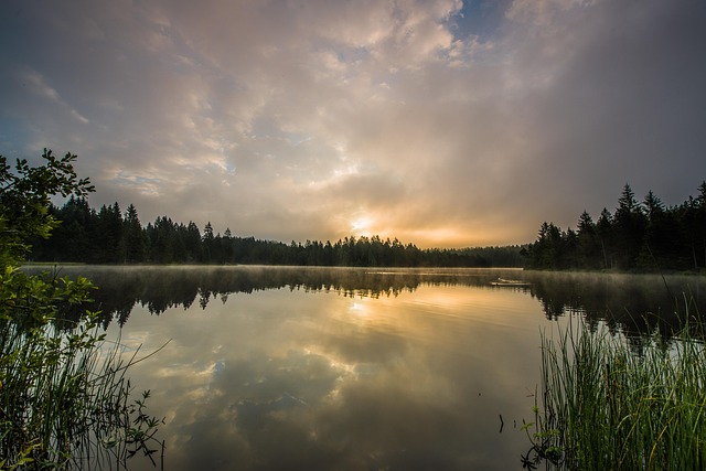 Uncovering Environmental Crimes: Consumer Rights & Legal Battles
