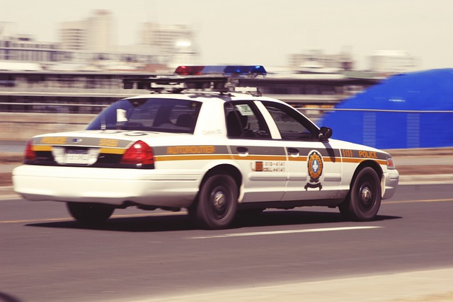 Plea Bargaining’s Role in RF Agency Sentencing: A Comprehensive Analysis