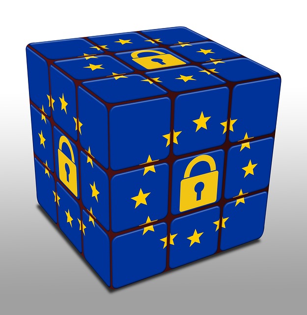 Navigating Regulatory Fraud Laws: IP Dispute Lawyers Guide Clients Through