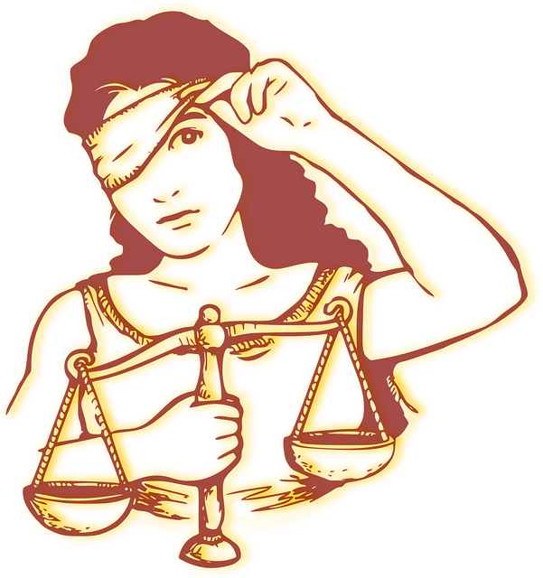 lawyer