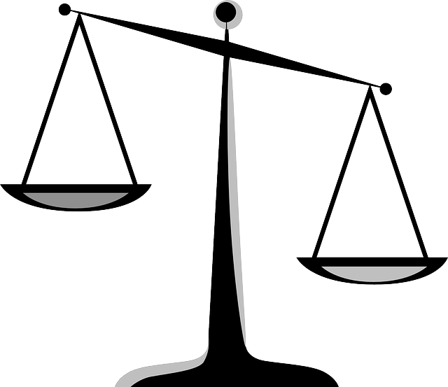 Unraveling Corporate Crime Investigations: Legal Appeals, Challenges, and Evidence