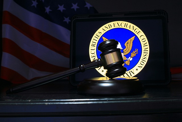 Defending Against Financial Fraud: Advanced Analytics and Legal Strategies