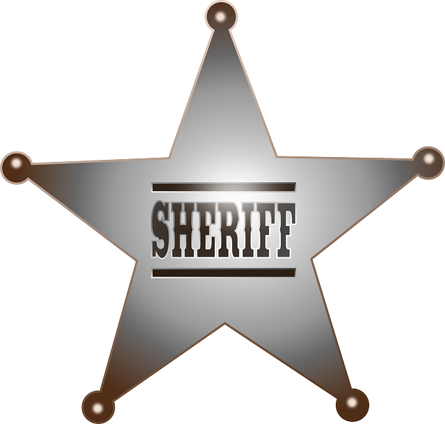 Prosecutorial Discretion Limits: Protecting Whistleblowers in Criminal Justice