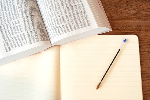 Litigation Support Services: Strategy, Ethics, and Case Success