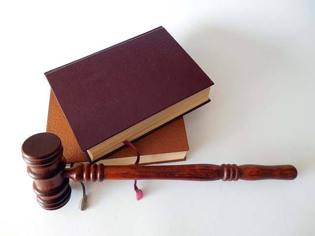 Navigating Regulatory Compliance: Factors Shaping Prosecutorial Discretion