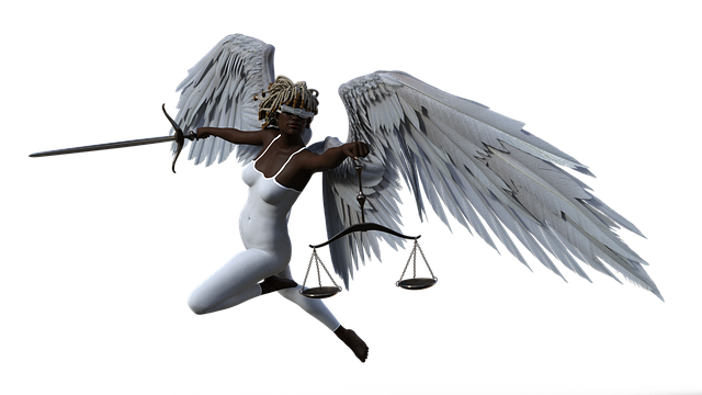 Mastering Plea Negotiation Techniques for Defense in Regulatory Fraud Cases