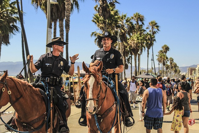 police