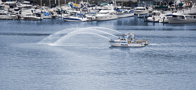 White Collar Crimes’ Impact: Navigating Sentencing Guidelines for Environmental Justice
