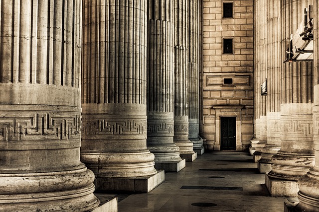 Unraveling Financial Fraud: Schemes, Laws, & Litigation Trends in Services