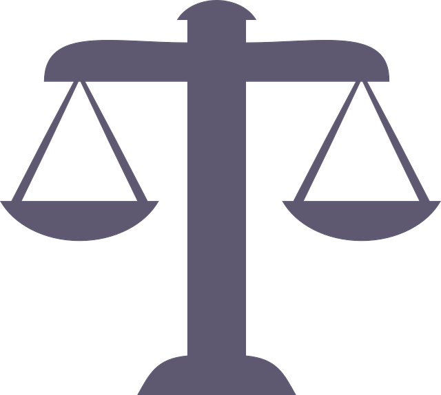 Unraveling Environmental Crime Trials: From Selection to Impact